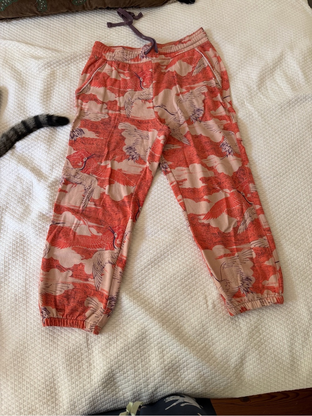 Anthropologie Daily Practice Coral and Cream Crane-Print Jogger Pants Size L